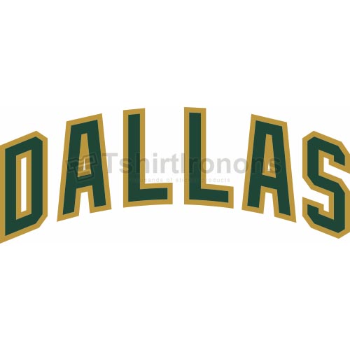 Dallas Stars T-shirts Iron On Transfers N130